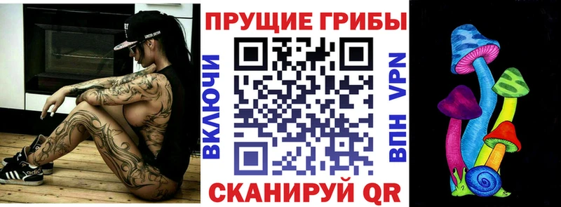 даркнет сайт  Шлиссельбург  Галлюциногенные грибы мицелий 